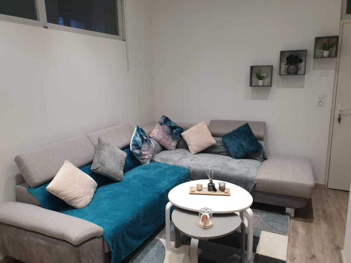 Appartement Cosy Et Chaleureux ロン・ル・ソーニエ エクステリア 写真